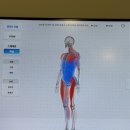 분당-수내-306 | [분당] 수내역 바디밸런스 체형교정센터&amp;PT ::정밀 분석부터 맞추 스트레칭까지, 분당체형교정