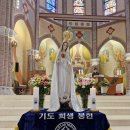 (카르멜 산의 복되신 동정마리아 축일) 셀 회원 봉헌서약 갱신식 이미지