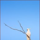 컴퓨터첫걸음 이미지