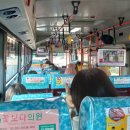 수원-1645 이미지