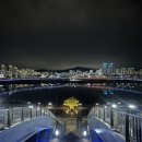 연기면 금강보행교 북측(우) | 세종시 명물 금강 보행교 밤 산책 하기 가볼만한 곳이에요!