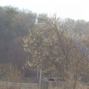 구자농장 이미지