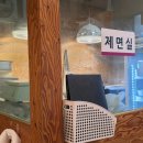 다다치킨