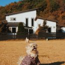 하늘테라스관광펜션 이미지