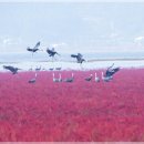 동석축산 이미지