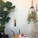 커피르마레