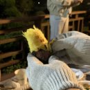 펜션밴드 | 강화 가족 여행 2. 숙소 - 강화 펜션 밴드 후기