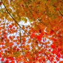 청계산수변공원 이미지