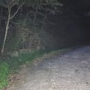 대흥사 서산대사박물관 이미지