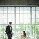 김초롱 카카오 검색결과