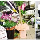 음성재래시장 이미지