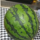 우곡그린복합영농조합법인 이미지