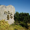 제주블랑 이미지