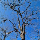 백양사(순천) | &lt;겨울 山寺紀行&gt; 장성 백양사
