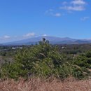 남원읍-33 이미지