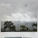 동해농협본점 이미지