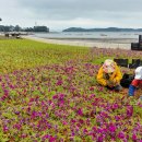 영목항수변공원 이미지