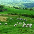 만나목장 이미지