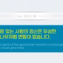 여송지성 이미지