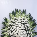 청보화원
