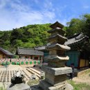 천안 만일사 오층석탑(晩日寺 五層石塔) 이미지