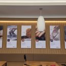 하루엔소쿠(중앙점) 이미지