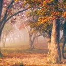 영광보석 - 청주시 상당구 중고개로 330-1 | 영광보석