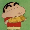 과일꾼 | [과일꾼 초당옥수수] 지금 꼭 먹어봐야하는 제철 초당옥수수!🌽/과일꾼 특품 사이즈 구매 '솔직후기'