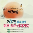 정초 이미지