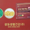 (주)파인적송