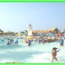 명도태권도체육관 이미지