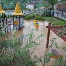 채운코아루@ 이미지