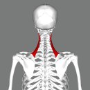 손모아한의원 이미지