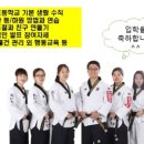 용인대 한신 태권도 이미지