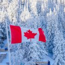 보우(VOW)관광호텔 | 캐나다 밴프 여행 로키투어 캘거리 출발 설퍼산 캔모어 완전정복!