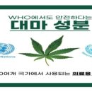 정타코 이미지