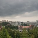 풍암태권도체육관 네이버블로그