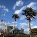 산들애풀하우스 이미지