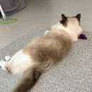 춘봉농장 이미지