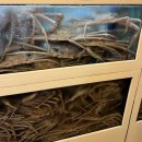 킹할인마트 | 부산 광안리 맛집 원조기장대게할인마트 대게 찐맛집 후기