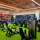 머슬비치짐 휘트니스 이미지