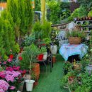 에버그린 플라워 이미지