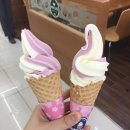 미니스톱목원대후문점 | 마리아갈랑 테스트