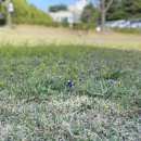 대구광역시청 별관 이미지