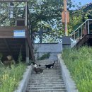 클라운지경남통영 - 통영시 죽림2로 55-17 | 제철 행복 | 5월 📁