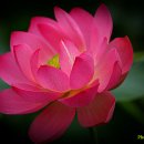 우리-다-가치 이미지