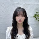 자유미용실 이미지