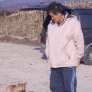 애견클럽 이미지