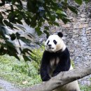 뽑뽀랜드 이미지