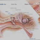 복음보청기 남동센터 이미지